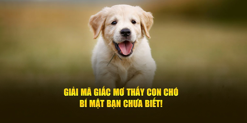 Nằm mơ thấy chó